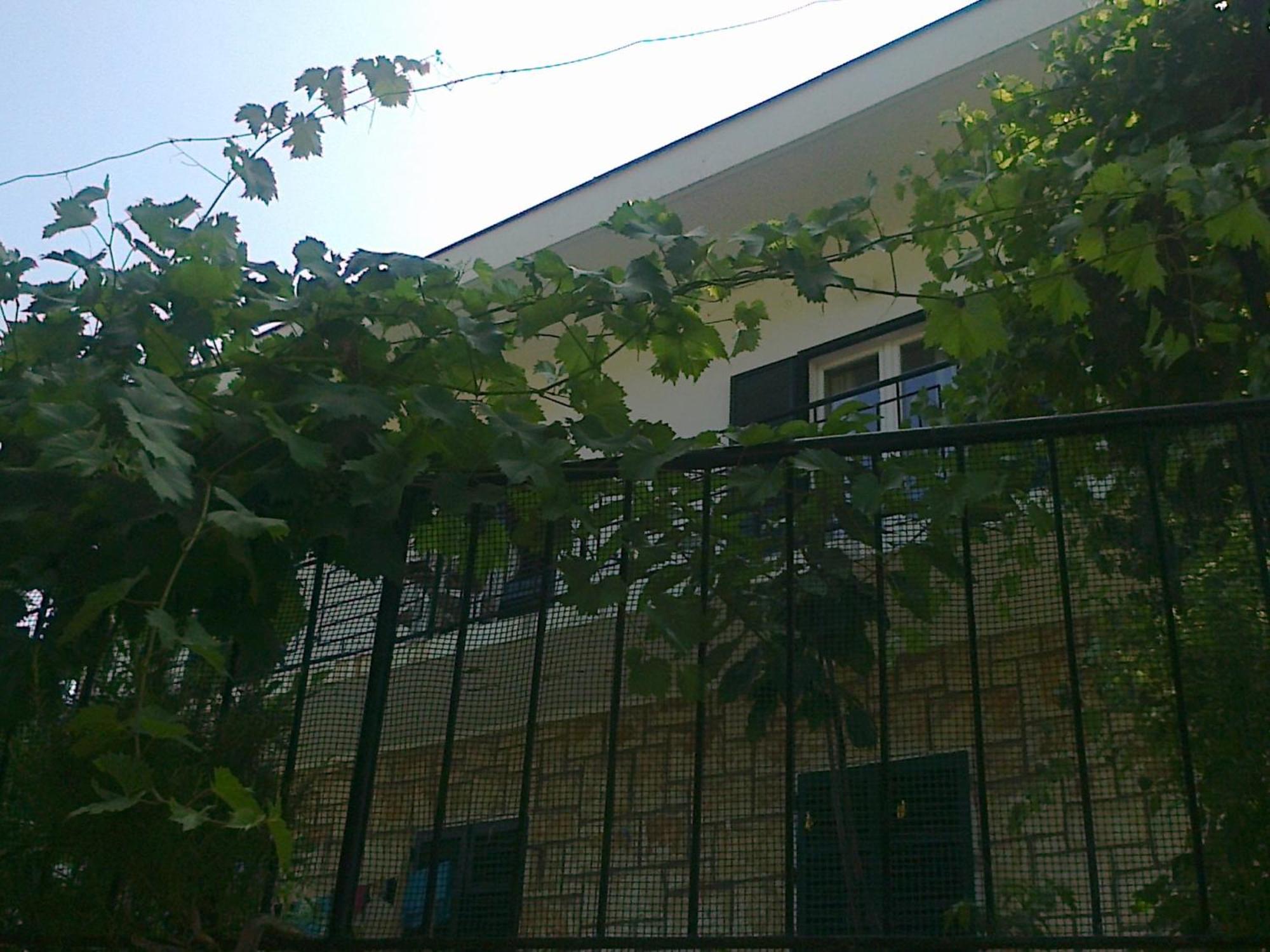 Rooms Sentic Dubrovnik Exterior photo